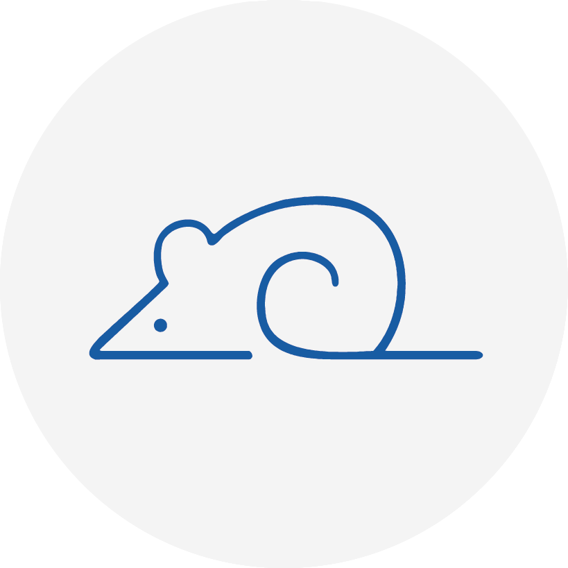 QuantiCyto&reg; Mouse KC(IL-8) ELISA kit(High Sensitivity)